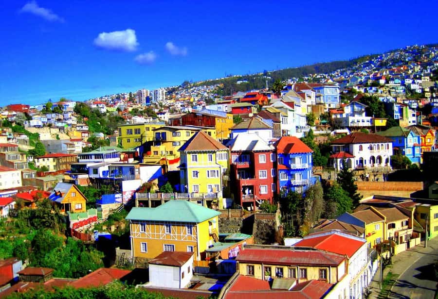 Santiago: Valparaiso, Viña del Mar, & Casablanca Valley Tour - Caleta Portales and the working Pacific coast