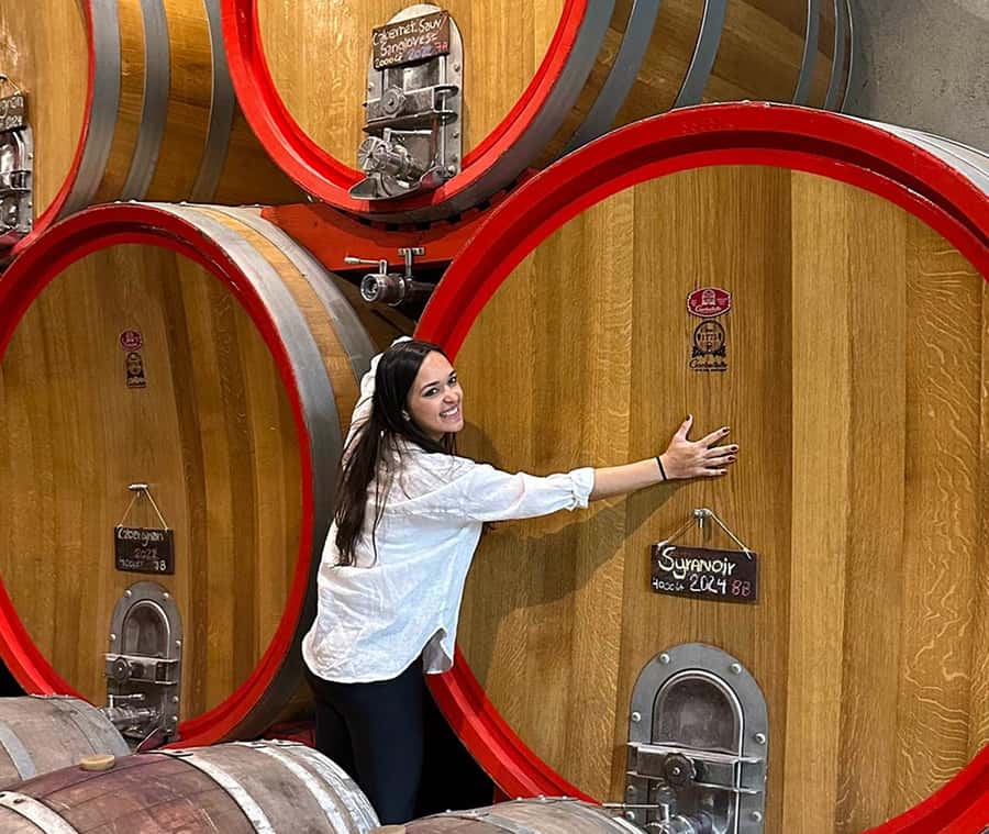 Santiago: World-class Wines, Visit to 4 Vineyards and Tanino - Key points to know before booking