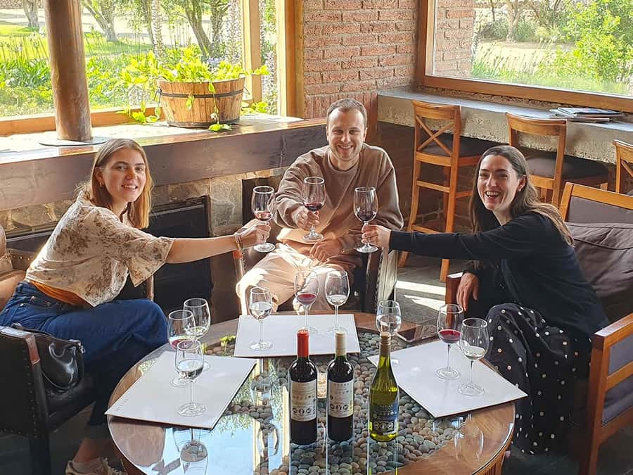 Santiago: World-class Wines, Visit to 4 Vineyards and Tanino - Why Casablanca Valley makes a good day trip from Santiago