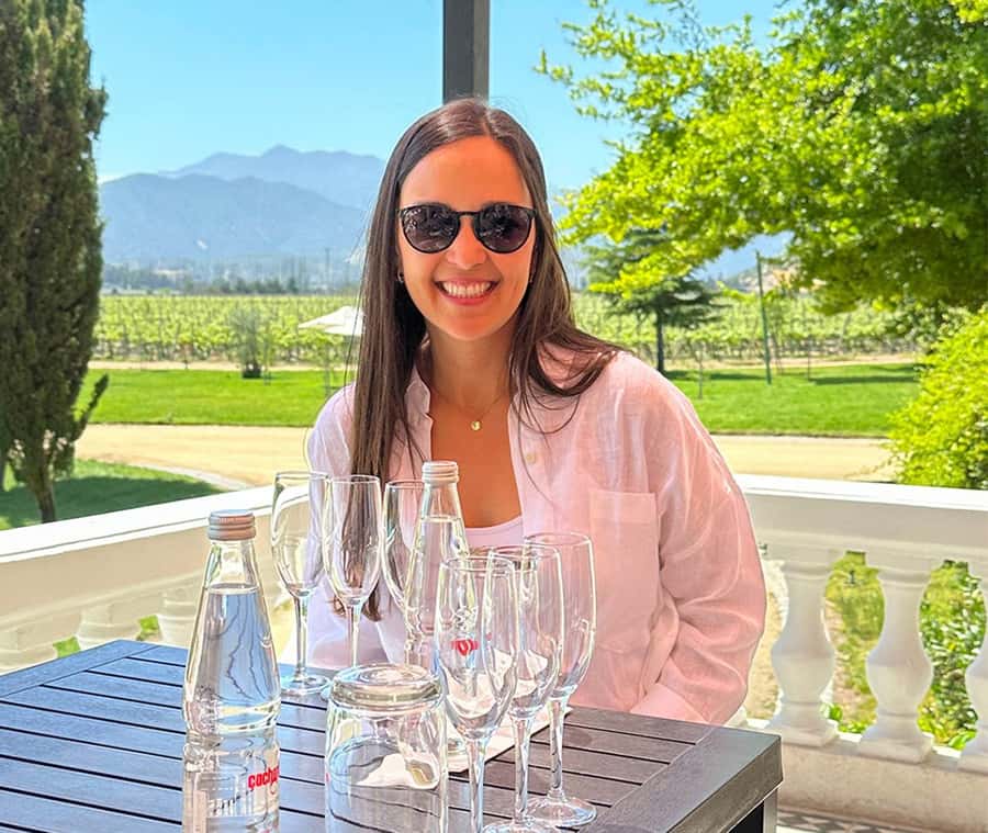 Santiago: World-class Wines, Visit to 4 Vineyards and Tanino - Emiliana, where organic wine leads the morning