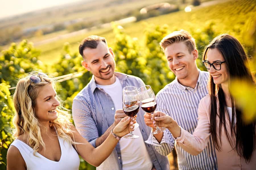 Santiago: World-class Wines, Visit to 4 Vineyards and Tanino - Pickup from Santiago and the ride into wine country