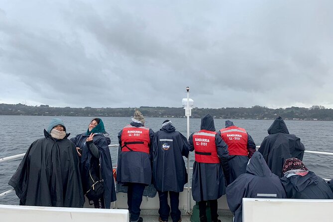 Scenic Catamaran Tour on Llanquihue lake - Searching the horizon for five volcanoes
