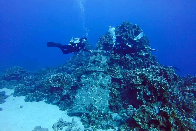 Scuba Diving Experience on Easter Island with Hotel Pickup - At a glance