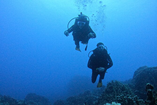 Scuba Diving Experience on Easter Island with Hotel Pickup - What is included for $197
