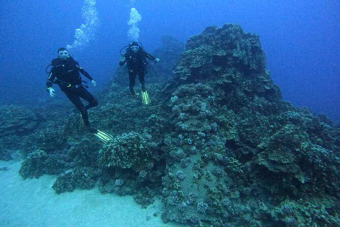 Scuba Diving Experience on Easter Island with Hotel Pickup - Choosing the morning or afternoon session