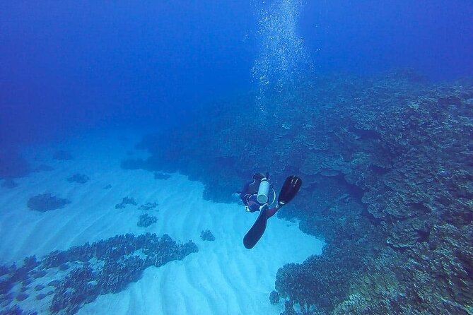 Scuba Diving Experience on Easter Island with Hotel Pickup - Reaching the coast from your hotel