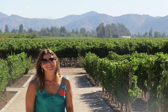 Sensory Experience Half Day Tour of Winerie Concha y Toro - Why Concha y Toro works well as a Santiago day plan