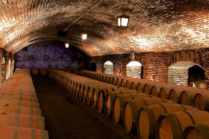 Sensory Experience Half Day Tour of Winerie Concha y Toro - The Casillero del Diablo Sensory Experience