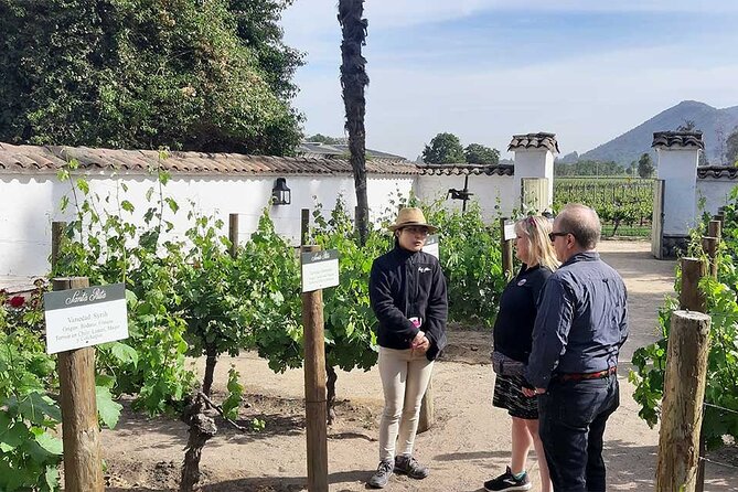 Sensory Experience Half Day Tour of Winerie Concha y Toro - The Concha y Toro lookout and Pirque vineyard views