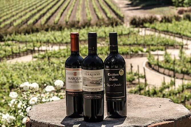 Sensory Experience Half Day Tour of Winerie Concha y Toro - Starting at the park and Don Melchor House
