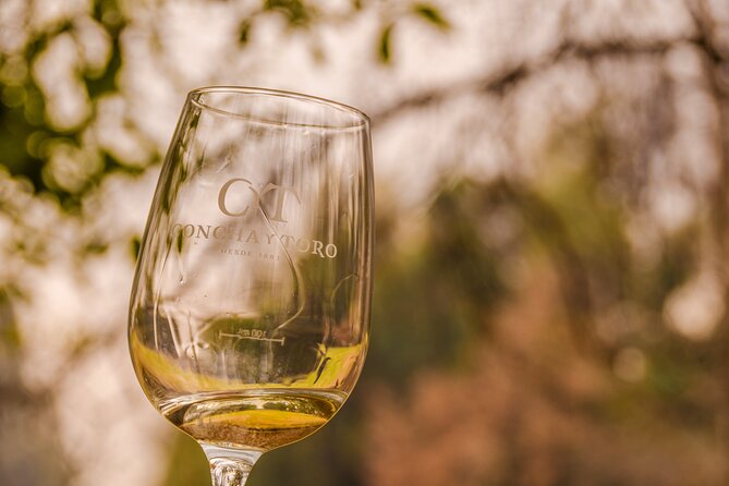 Shell and bull vineyard New experience - Why this vineyard trip works well from Santiago