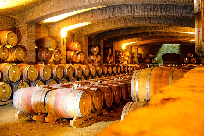Shell and bull vineyard New experience - The two-hour vineyard visit