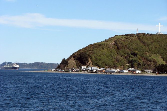 Sightseeing Tour in Puerto Varas & Puerto Montt - Who will get the most from this tour