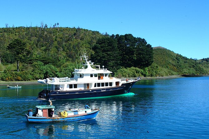 Sightseeing Tour in Puerto Varas & Puerto Montt - Should you book this Puerto Varas tour?