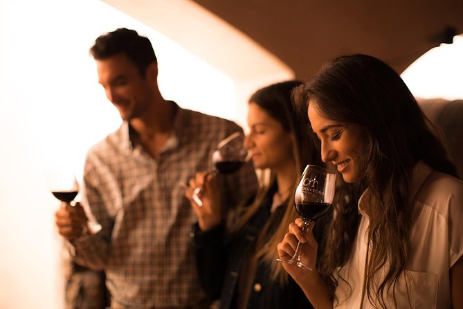 Small-Group Half Day Tour to Concha y Toro Winery - Key points at a glance