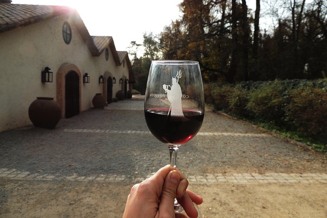 Small-Group Half Day Tour to Concha y Toro Winery - Walking through the Concha y Toro family estate