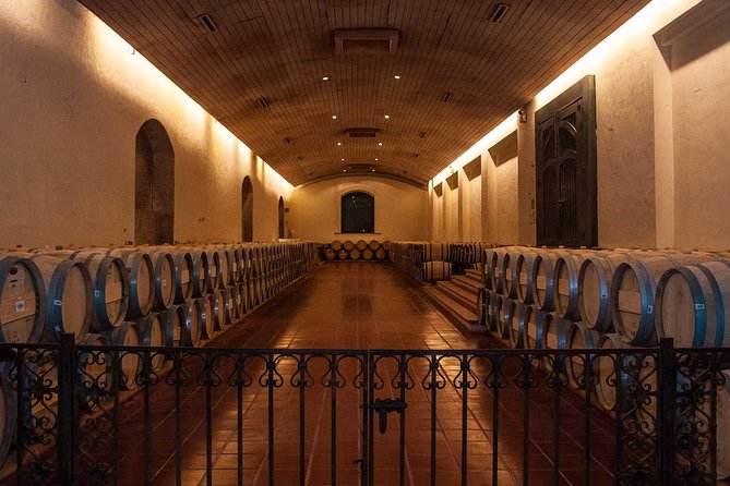 Small-Group Half Day Tour to Concha y Toro Winery - Tasting three selected wines