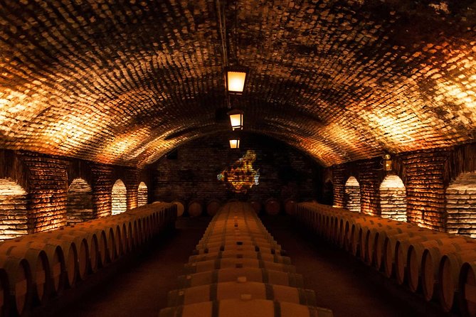 Small-Group Half Day Tour to Concha y Toro Winery - Who will enjoy this tour most?