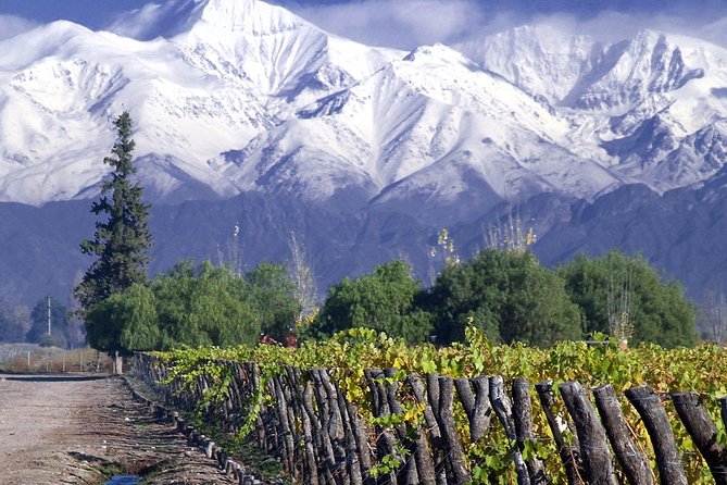 Small-Group Half Day Tour to Concha y Toro Winery - Leaving Santiago with hotel pickup included