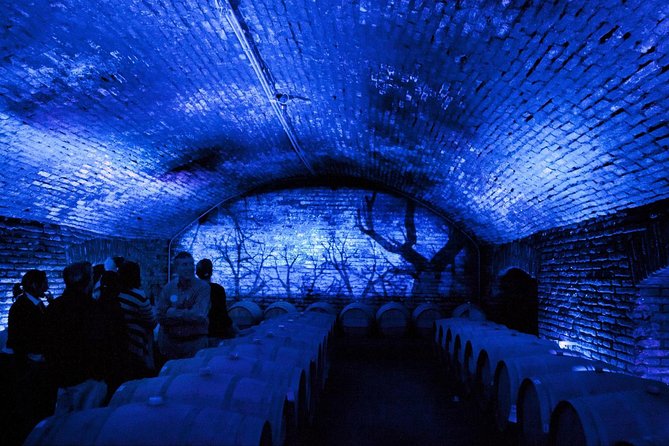 Small-Group Maipo Vineyards Full-Day Experience with Optional Lunch - What makes this Maipo wine day worth considering