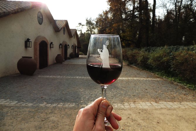 Small-Group Maipo Vineyards Full-Day Experience with Optional Lunch - The optional four-course lunch
