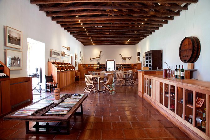 Small-Group Maipo Vineyards Full-Day Experience with Optional Lunch - Guide quality can change the entire day