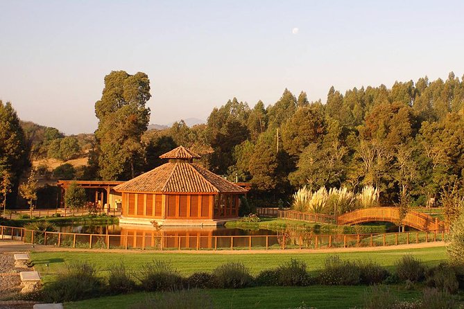 Small-Group Tour at Matetic Vineyard in Rosario Valley from Santiago - Key points at a glance