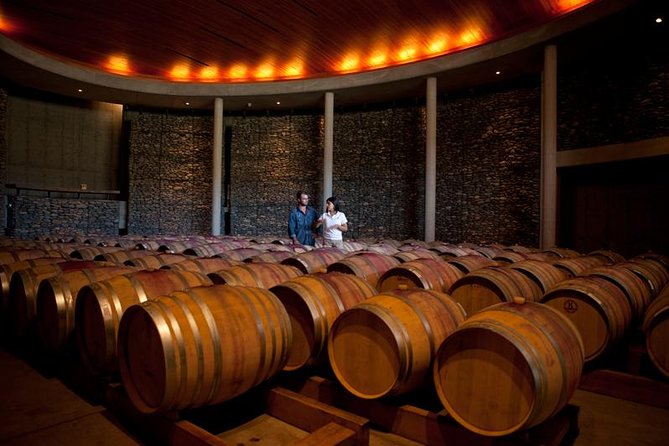 Small-Group Tour at Matetic Vineyard in Rosario Valley from Santiago - How the small group changes the day