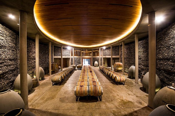 Small-Group Tour at Matetic Vineyard in Rosario Valley from Santiago - Who will enjoy Matetic most?