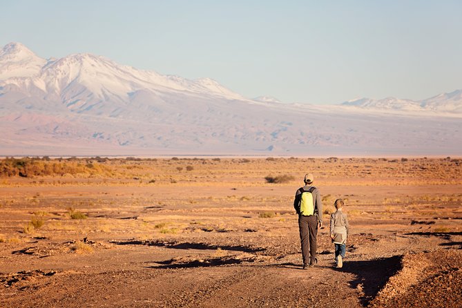 Small-Group Tour to Moon Valley from San Pedro de Atacama - Walking the Great Dune at Duna Mayor
