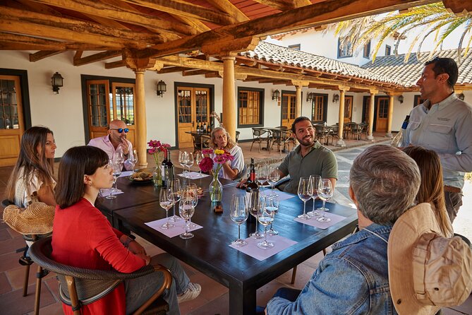Small Group Wines and Flavours Guided Walking Tour - MontGras in the Colchagua Valley