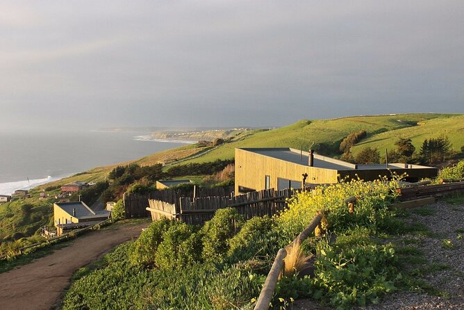 Southcoast - Private Full-Day tour - Meeting llamas and alpacas at Animaleros La Polcura