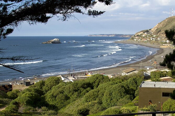 Southcoast - Private Full-Day tour - What the guides add to the day
