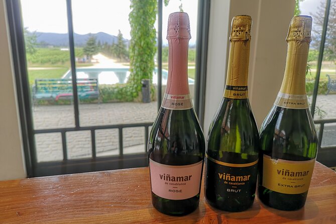 Sparkling Wine Tour and Premium Tasting with Private Transport - Who should book this sparkling wine tour