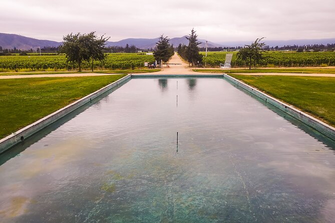 Sparkling Wine Tour and Premium Tasting with Private Transport - The Casablanca Valley wine market and llama stop