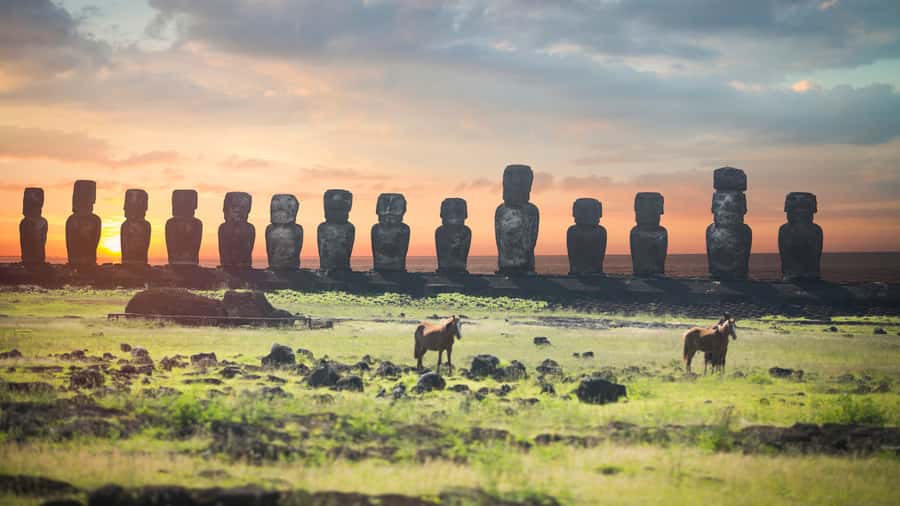 Sunrise Tongariki: Sunrise at Tongariki Park Private Tour - Should you book Sunrise Tongariki?