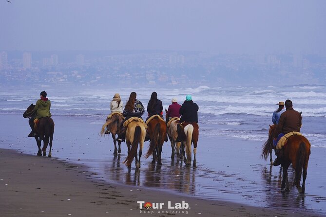 Sunset Horseback Ride on Ritoque Dunes & Beach +BBQ All-Inclusive - Key Points to Know Before You Book