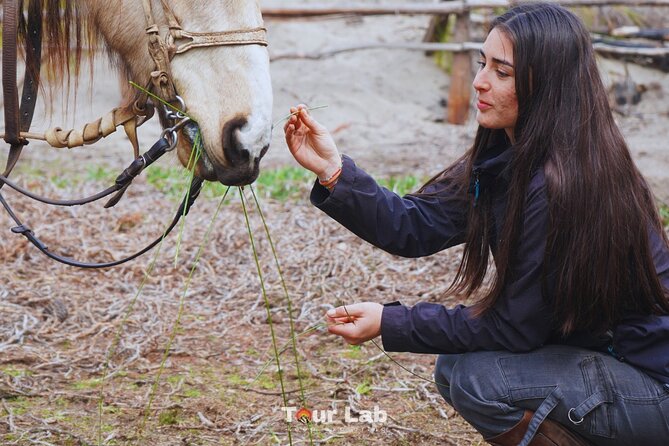 Sunset Horseback Ride on Ritoque Dunes & Beach +BBQ All-Inclusive - Why Ritoque Makes a Good Horseback-Riding Setting
