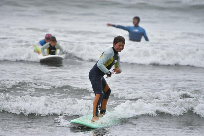 Surfing, Sandboarding & wild Sea lions + Chilean drinks & food - Why this Valparaíso day trip works