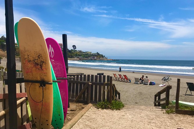 Surfing, Sandboarding & wild Sea lions + Chilean drinks & food - The ride through Valparaíso and Viña del Mar