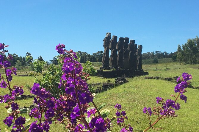 T2-THE MUST-HAVES OF RAPA NUI (non-cruise visitors) - Rano Raraku is the day’s most revealing stop