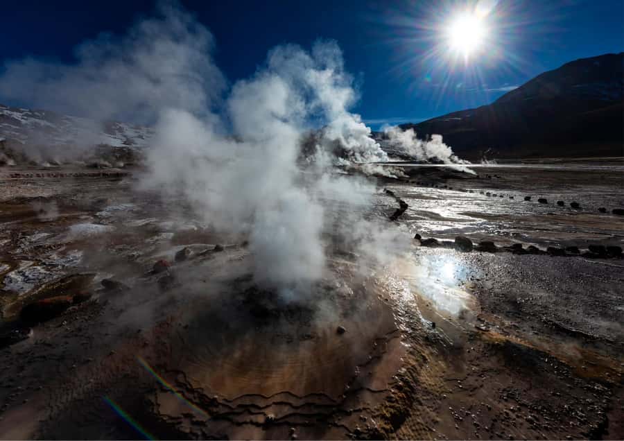 Tatio Gayser - Tour : San Pedro de Atacama - Chile - More Than Geysers: Plants and Desert Fauna