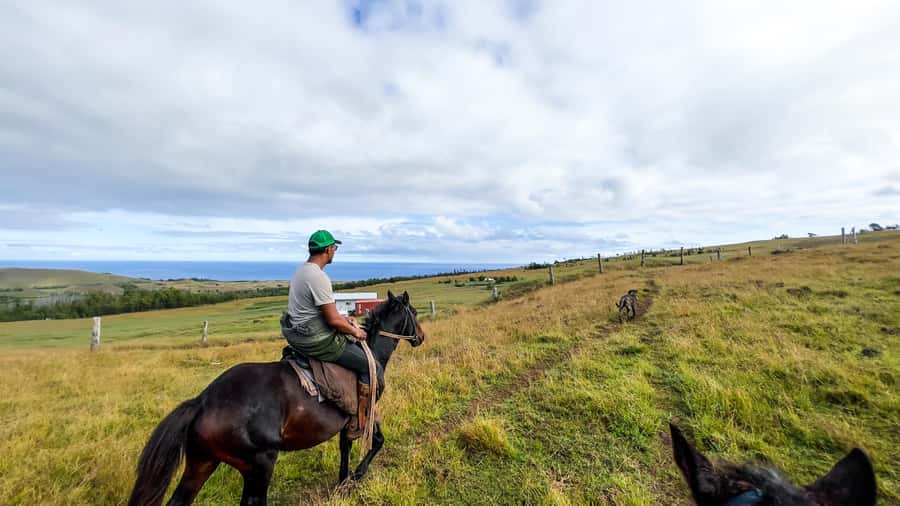 Terevaka Horse Excursion: The highest point and 360° view. - Key points to know before booking