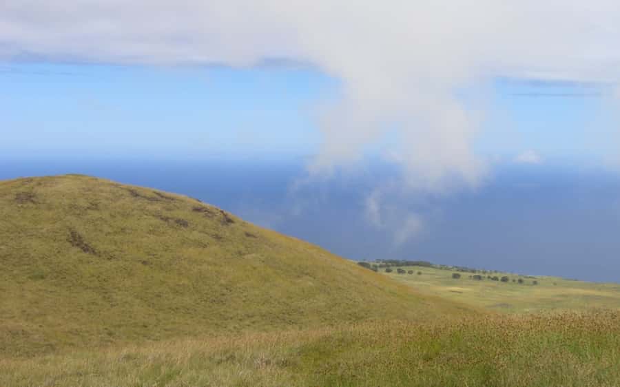 Terevaka Horse Excursion: The highest point and 360° view. - The horses and the riding experience