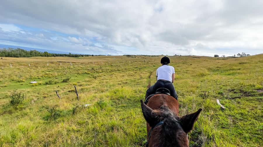 Terevaka Horse Excursion: The highest point and 360° view. - What the 150-minute itinerary really includes