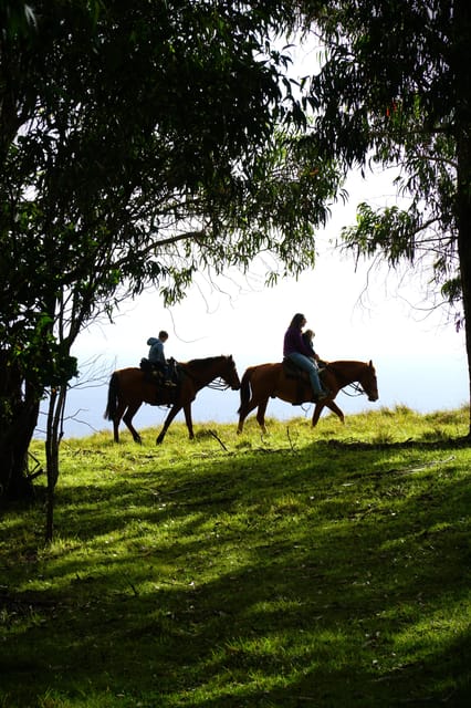 Terevaka Mount: Morning Horseback Riding & Planting Tour - Key Points Before You Saddle Up
