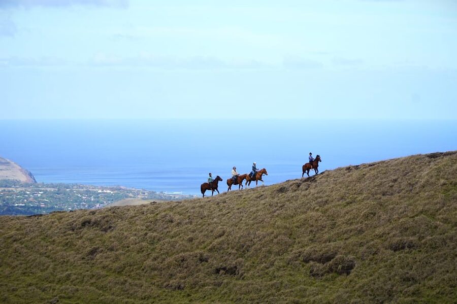 Terevaka Mount: Morning Horseback Riding & Planting Tour - Following Ava Ranga Uka to Rano a Roi