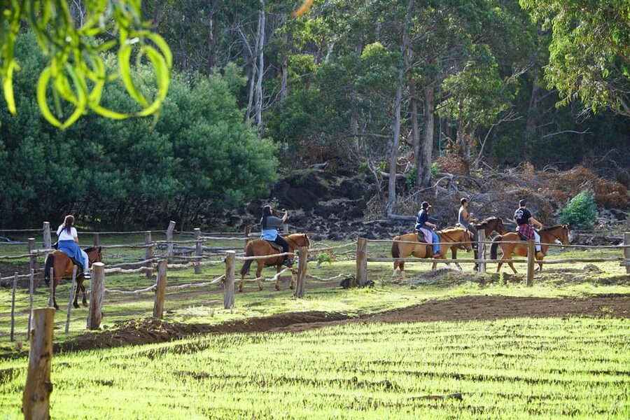 Terevaka Mount: Morning Horseback Riding & Planting Tour - Reaching the Highest Point on the Island