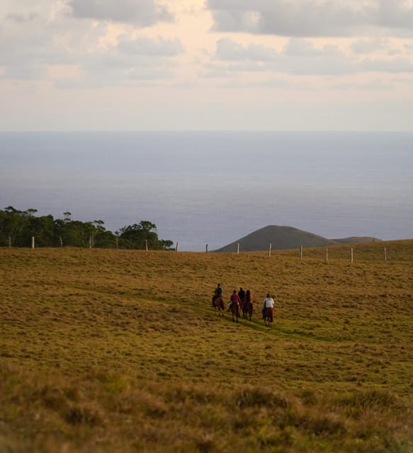 Terevaka Mount: Morning Horseback Riding & Planting Tour - Practical Advice for a Better Ride