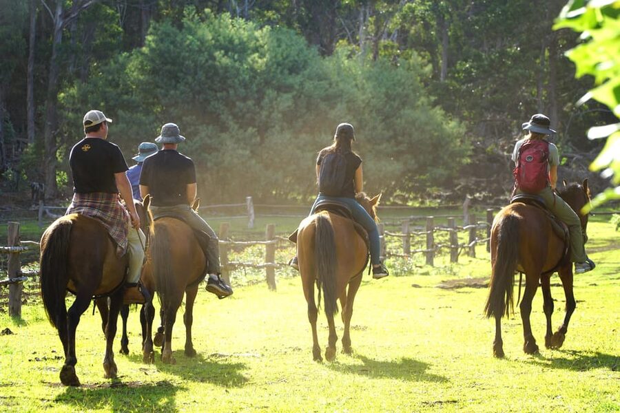 Terevaka Mount: Morning Horseback Riding & Planting Tour - Should You Book the Terevaka Horseback Ride?